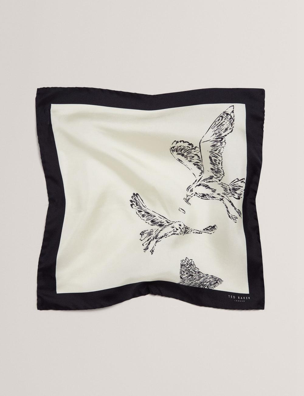 Men Ted Baker BENHALP - Seagull Graphic Silk Pocket Pocket Squares Ecru | KSA  2465-NKYWB