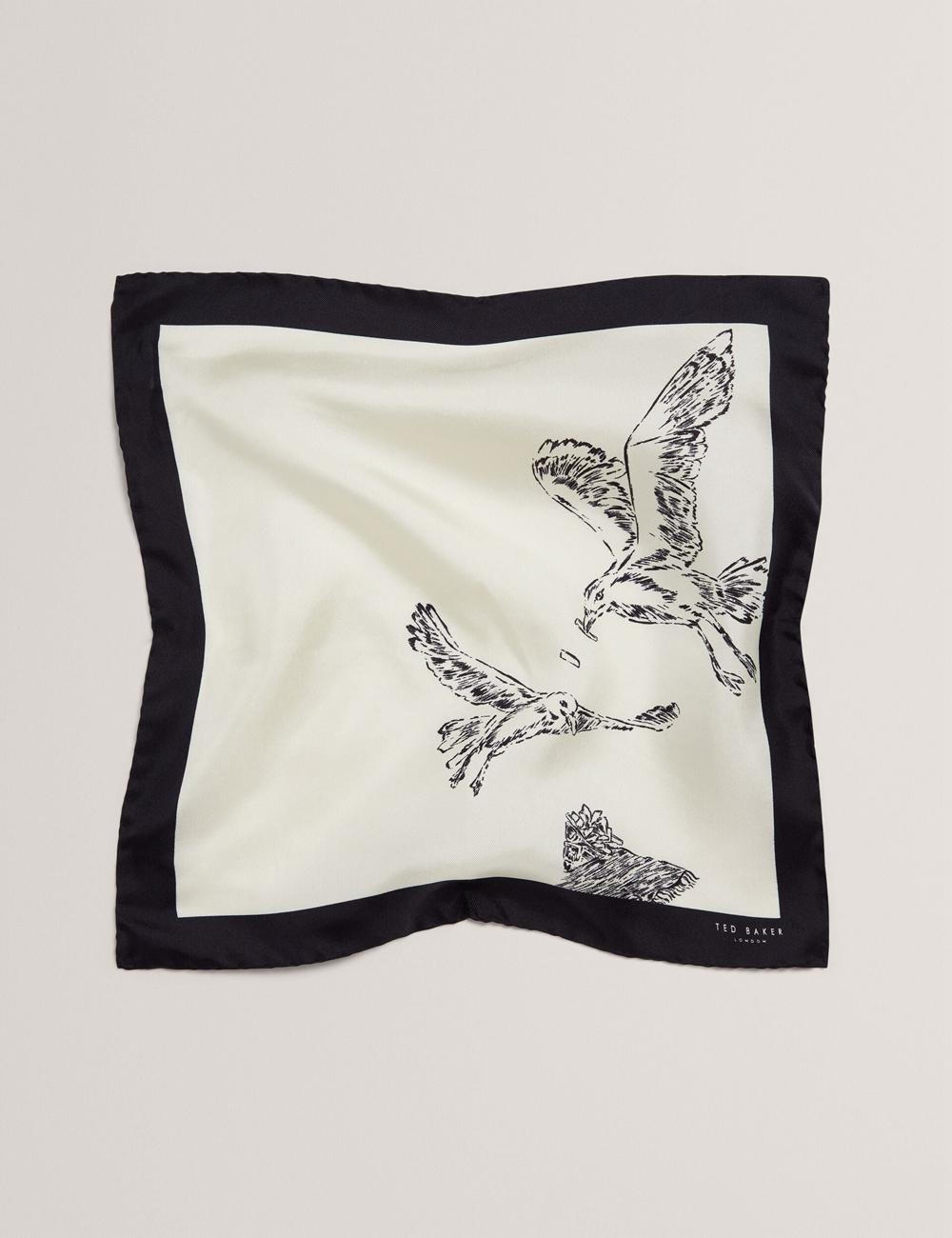 Men Ted Baker BENHALP - Seagull Graphic Silk Pocket Pocket Squares Ecru | KSA  2465-NKYWB