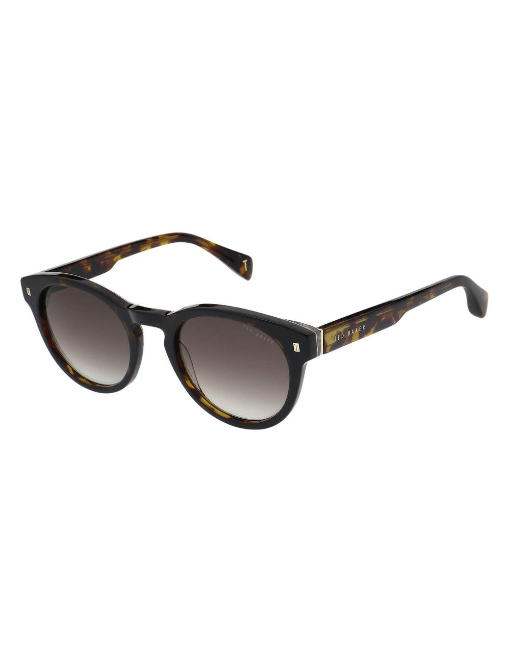 Men Ted Baker DAX - Round Chunky Temple Sunglasses Brown | KSA  9610-UBNQE