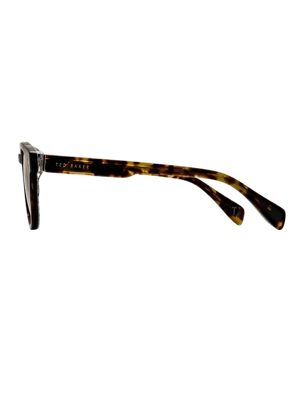 Men Ted Baker DAX - Round Chunky Temple Sunglasses Brown | KSA  9610-UBNQE