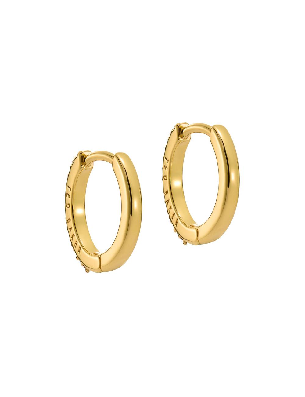 Women Ted Baker HEPLIE - Crystal Huggie Hoop Earrings Multicol | KSA  7630-SFOWE